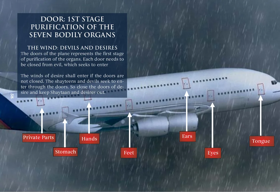 A large airliner in driving rain, each passenger door labelled with an organ: private parts, stomach, hands, feet, ears, eyes, tongue