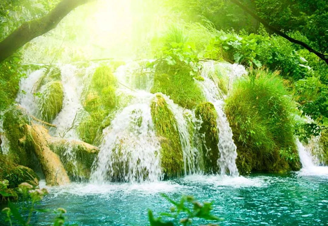Sunlight pouring through trees onto tiered waterfalls falling into a turquoise pool